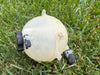 2017–2025 Cadillac XT5 Radiator Coolant Overflow Expansion Tank Bottle 23386455