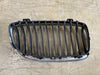 Original, 2007-2010 BMW 328i, 335i, E92, E93 Grille Left Driver Side